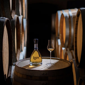"con su característico color dorado intenso y notas aromáticas de agave y especias."