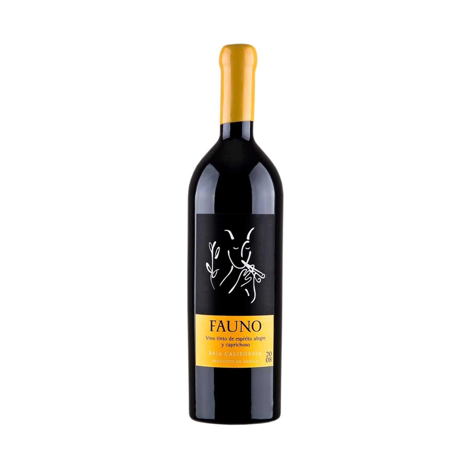  Ensamble mexicano del Valle de Guadalupe

